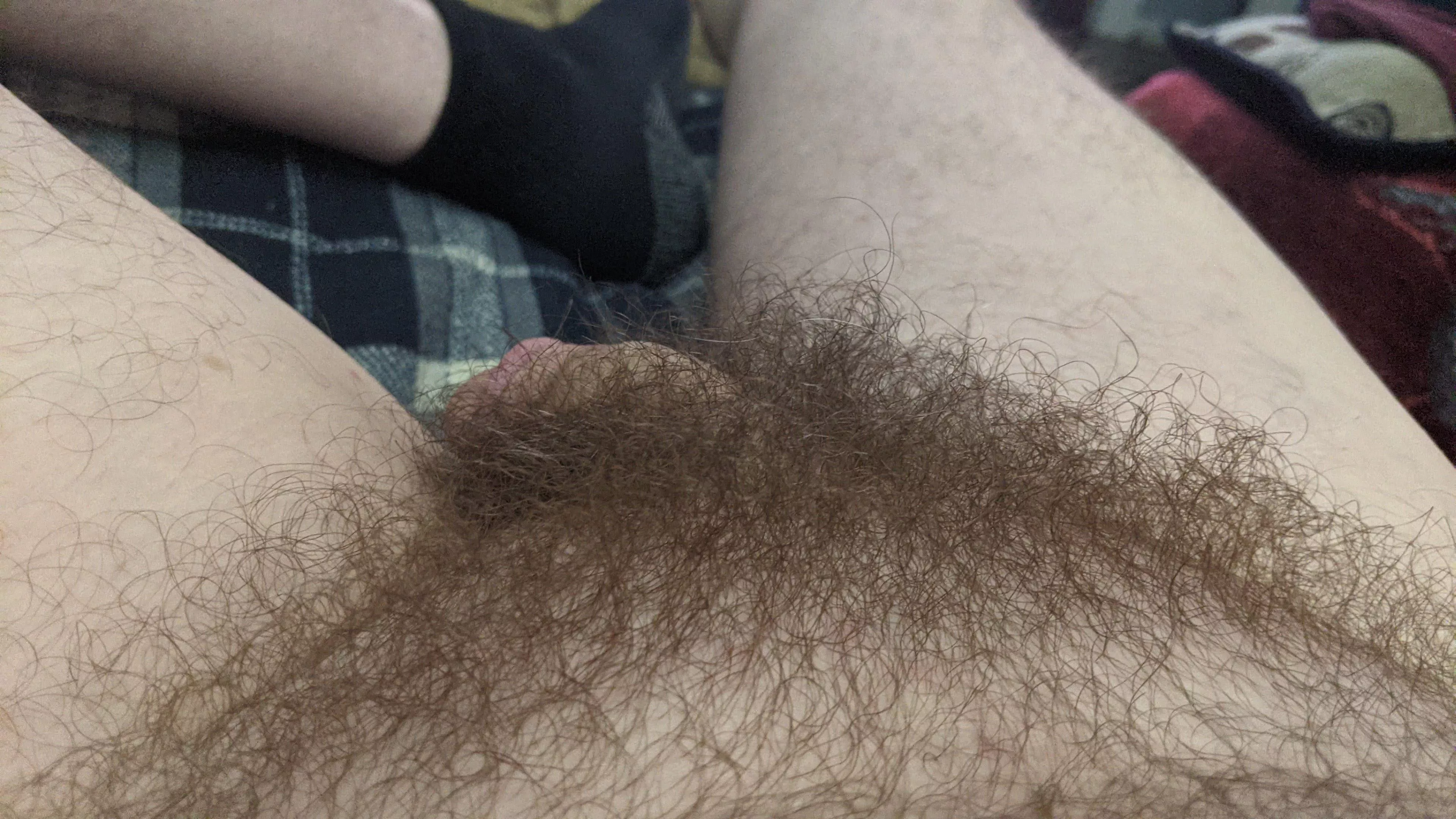 Found this gem in my photo library posted by JediSAS