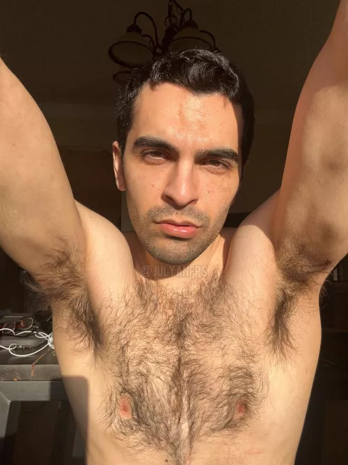 Furry perfection from pit to chest to pit again 😜 by julyanfps