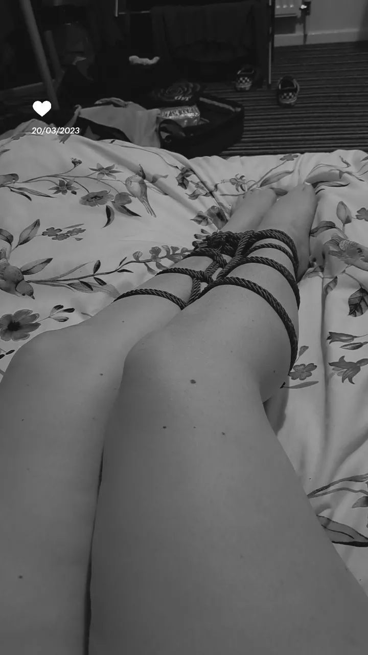 Got a little creative posted by Intelligent-Web-7794