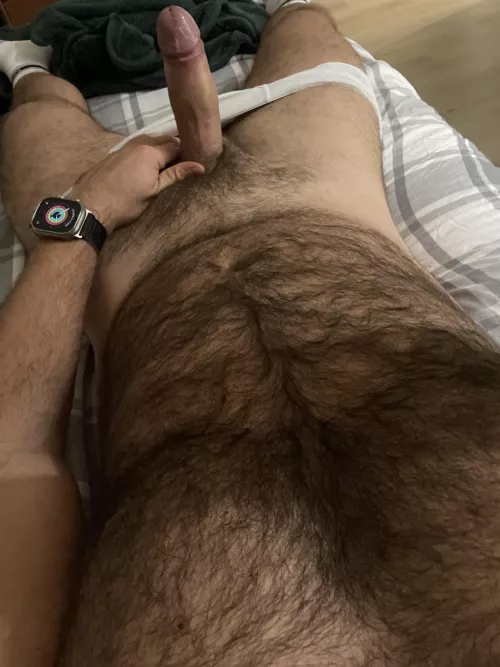 Hairy chest and cock after a chest workout ( precum included ) by miami_111_handsome32