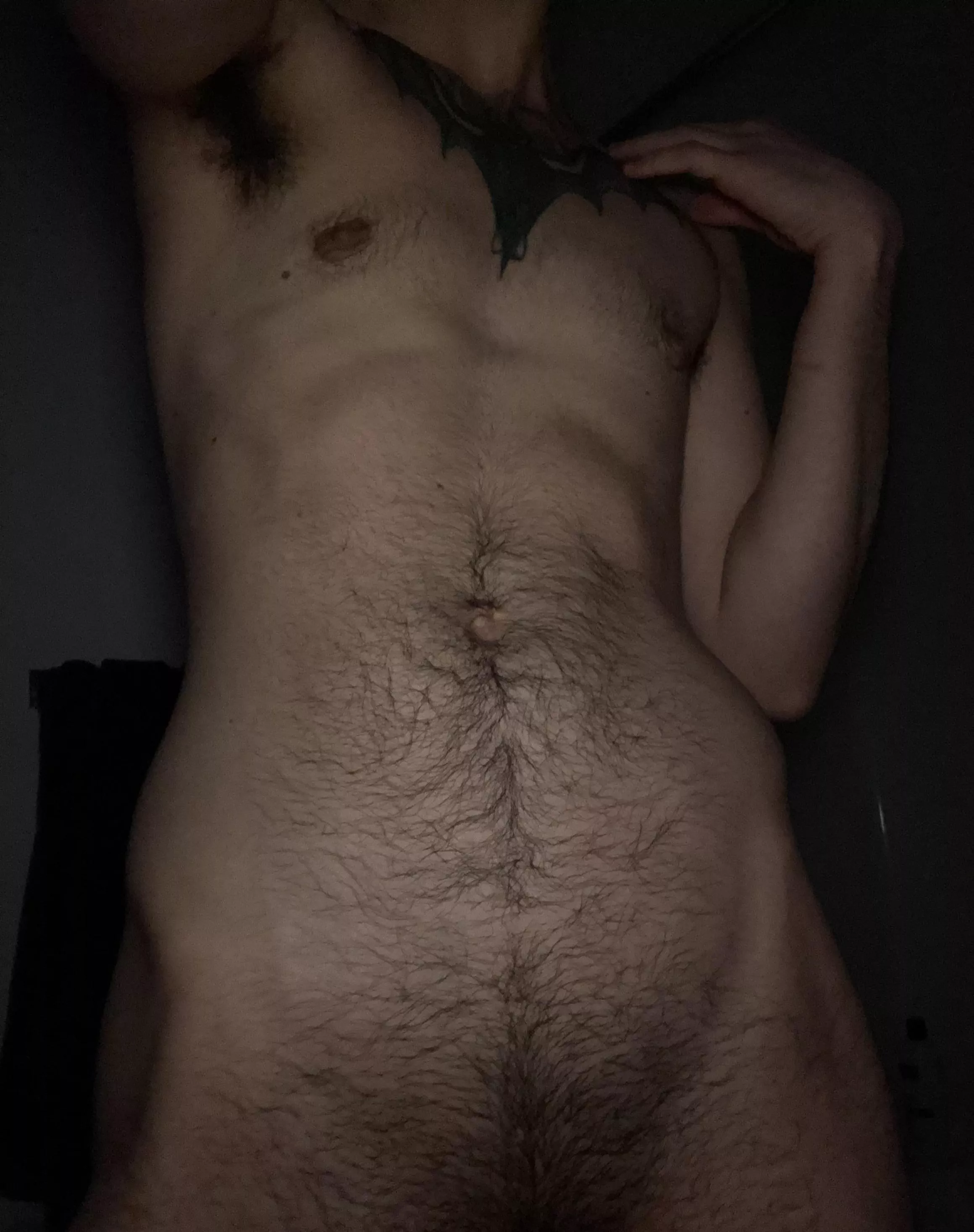 hairy happy trail, anyone? posted by genderbredman