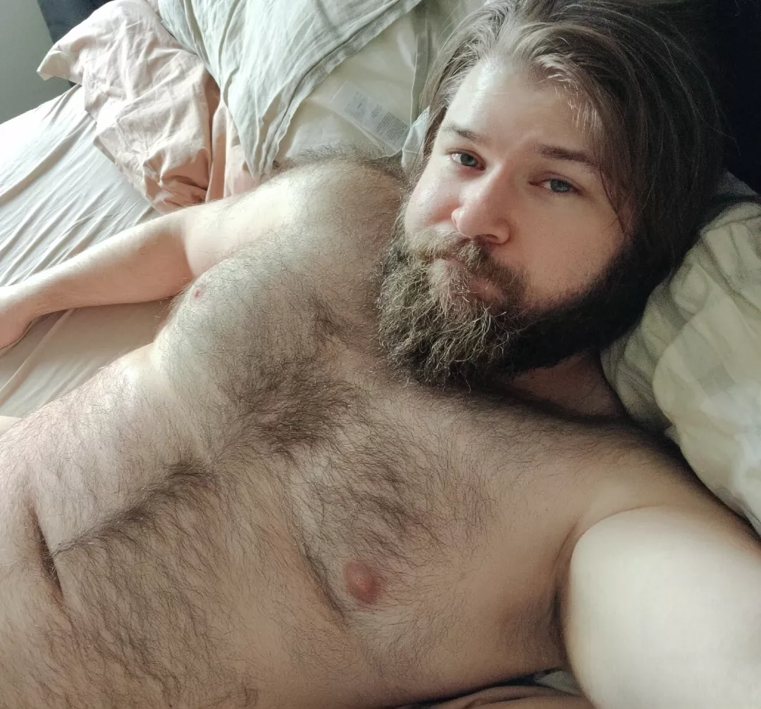 Hibernating until summer 🐻🙈 by BillyJohnBob88