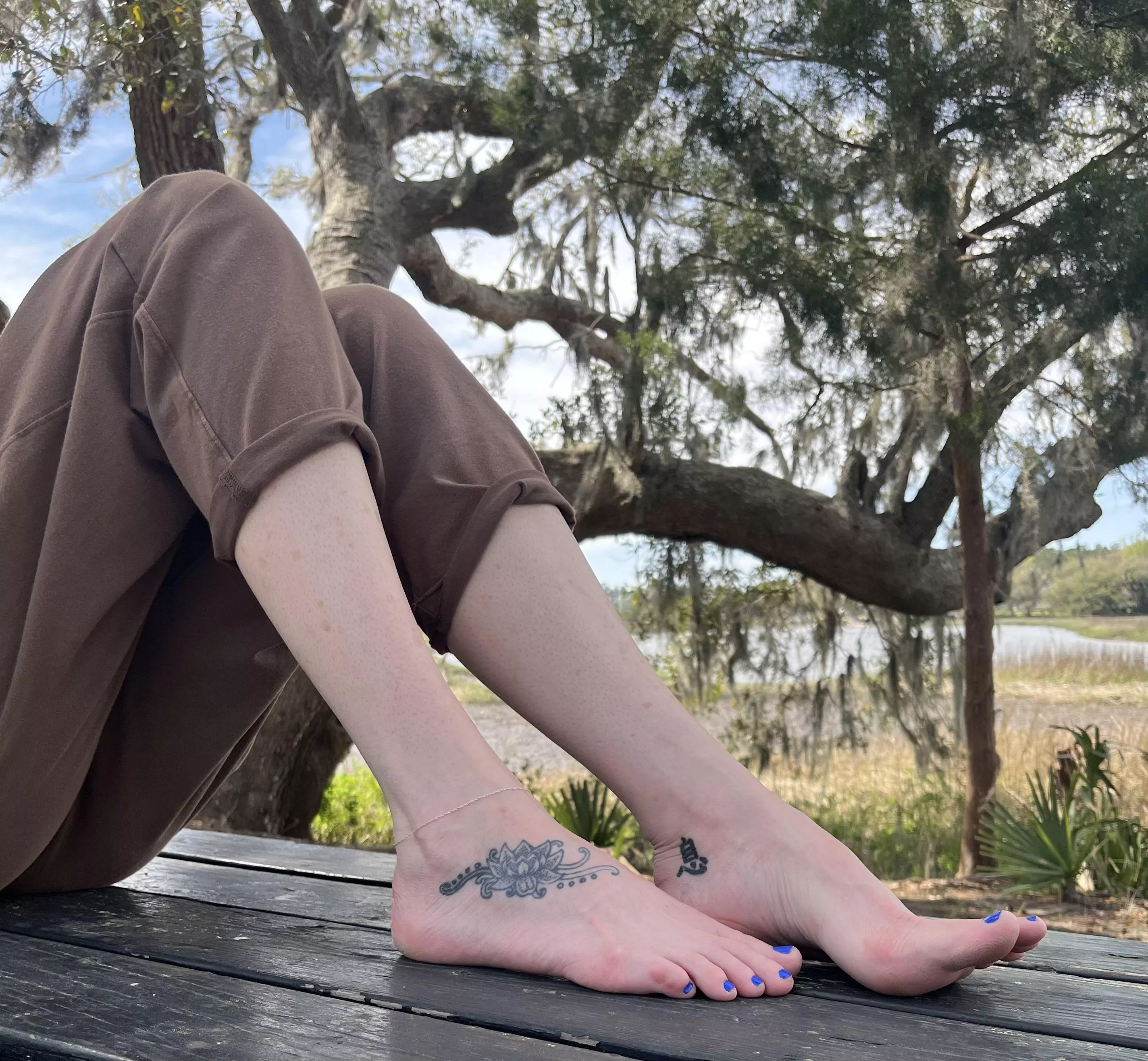 I Bring A Lot To The Table posted by Lotusgirl00