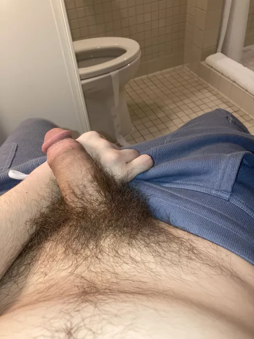 I like my bush by derricksdickaccount