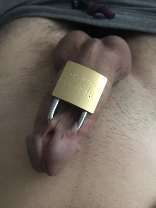 I lost the key by Traditional_Suit_900