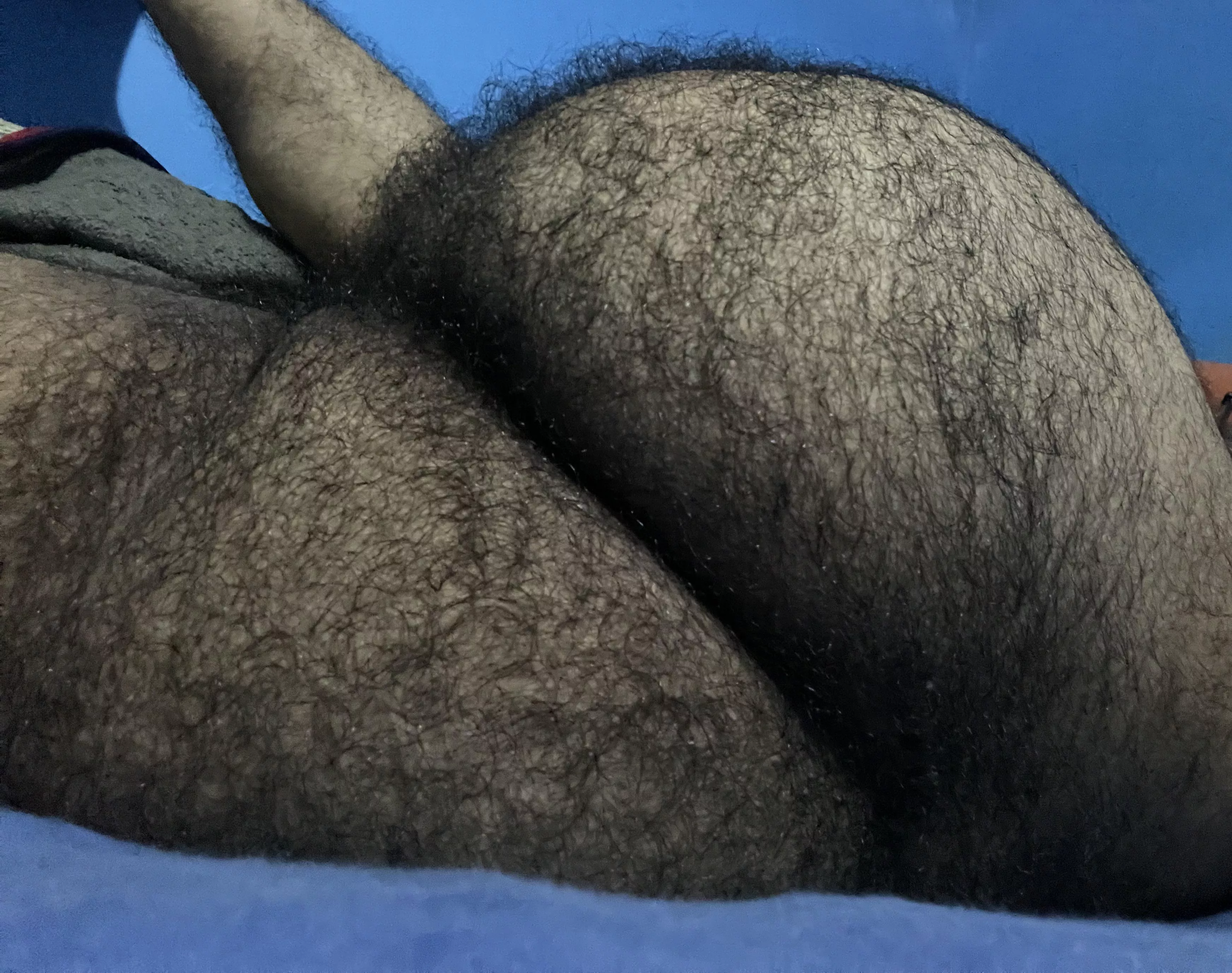 I need a cock up my hairy ass🥴 posted by mxhairybottom