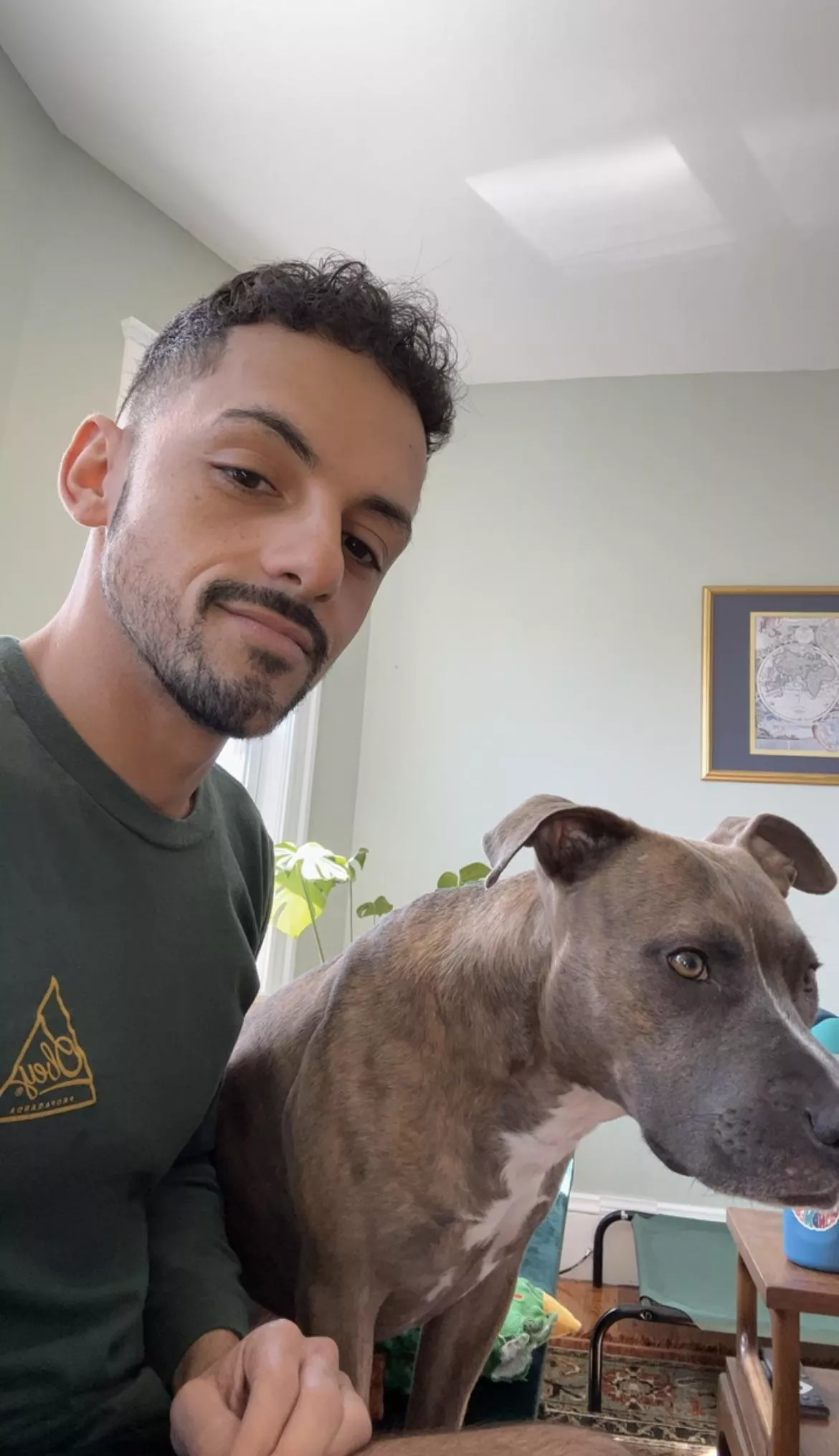 Just a guy and his roomies needy/sweet dog. posted by Saged4