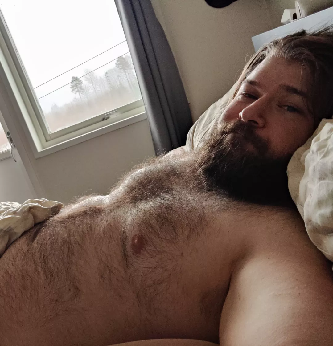 Let's just hibernate until the snow is gone 🙈🐻 posted by BillyJohnBob88