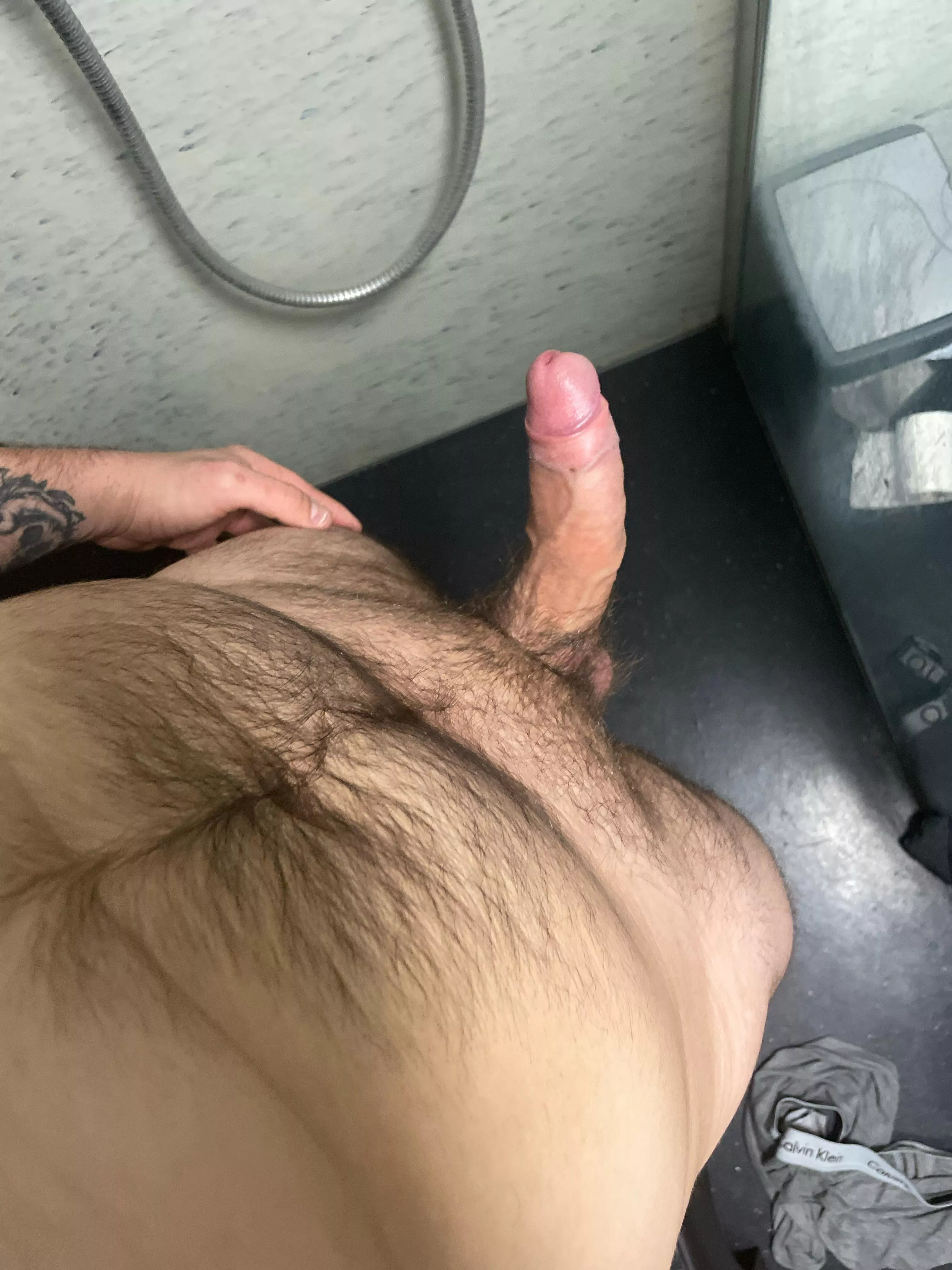 Little hairy friend posted by Savings_Pass_8826