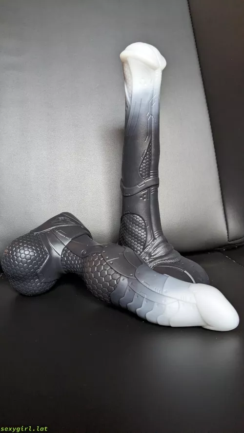 My New Bishop & Vector by G04Iwri2fzx4R68ZV