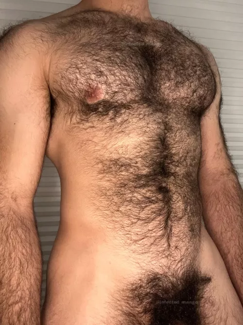 Not even the whole thing by Infected_Mango