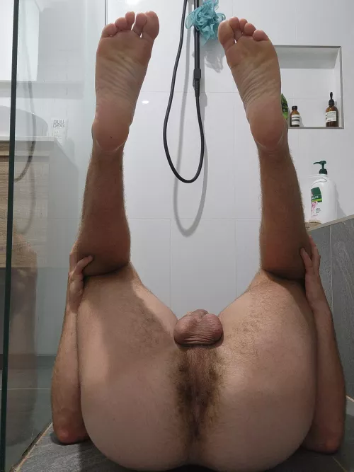 Oh no, I seem to have fallen onto my back 🫣 help? by mercurian_atropine