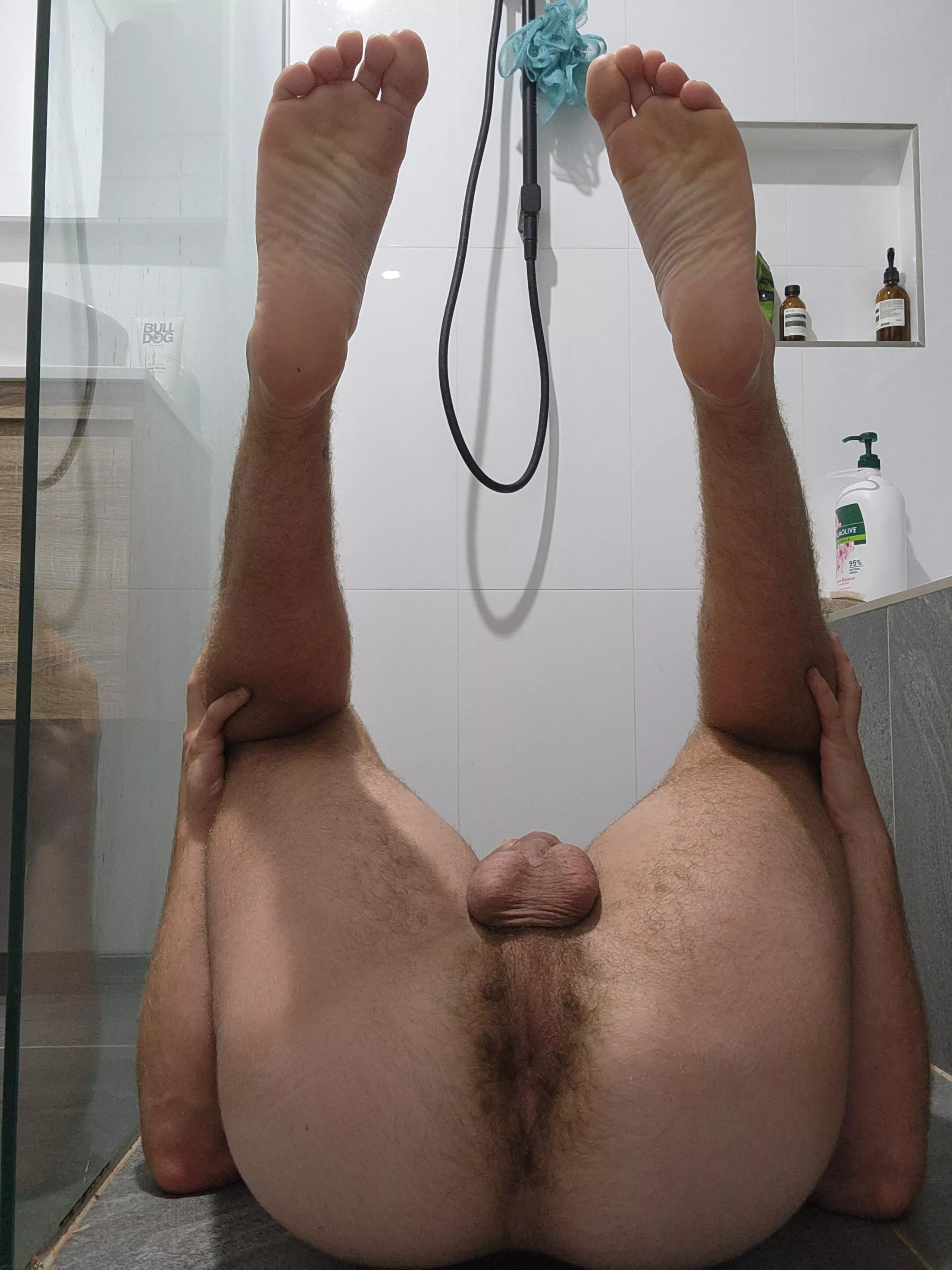 Oh no, I seem to have fallen onto my back 🫣 help? posted by mercurian_atropine