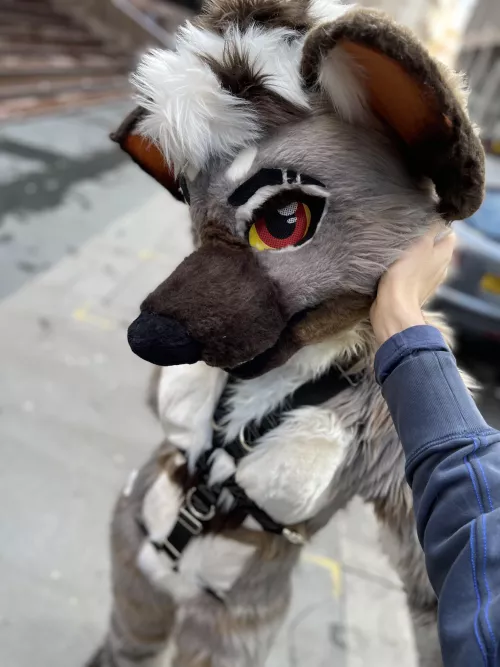 Pets please~✨ by TheLewdBunny