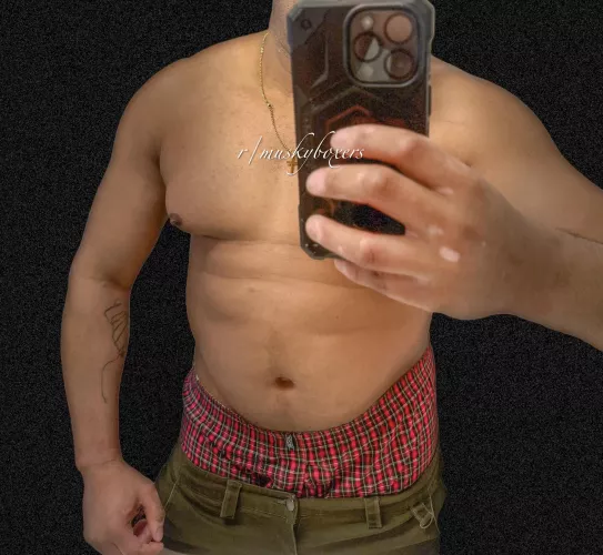 Red plaids by muskyboxers