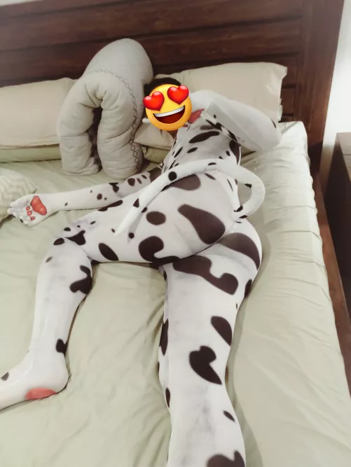 The husband's first time doing cosplay. Did he nail it??? Do let us know with your comments. Support him on his journey. by FatAssBoy2022