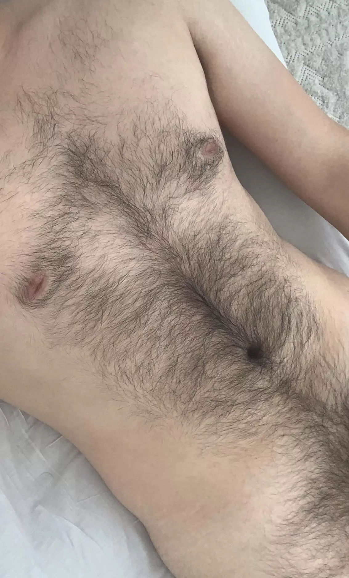 What do you think about my hairy torso? (20) posted by wolfboy997