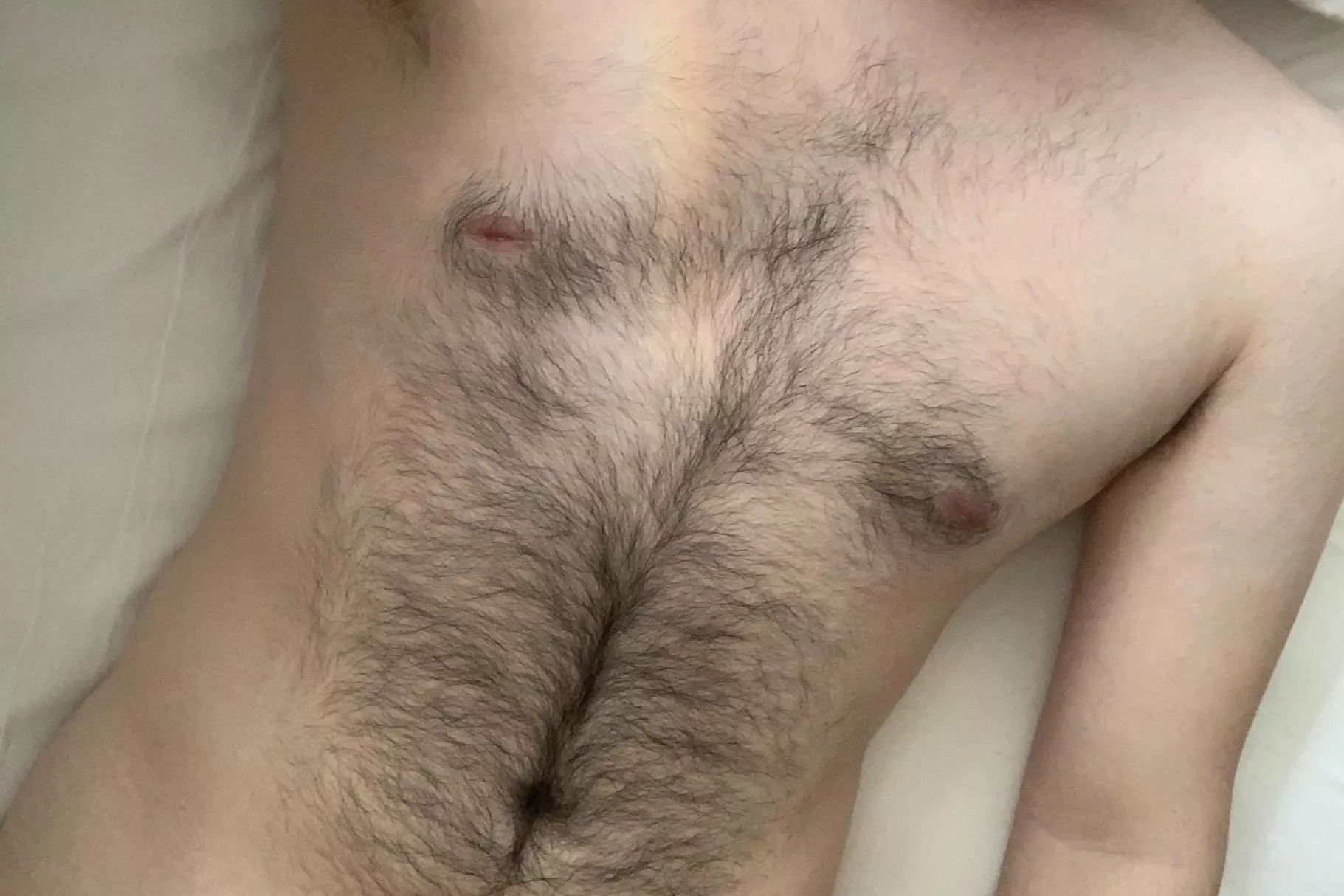 What do you think about my hairy torso? (20) posted by wolfboy997