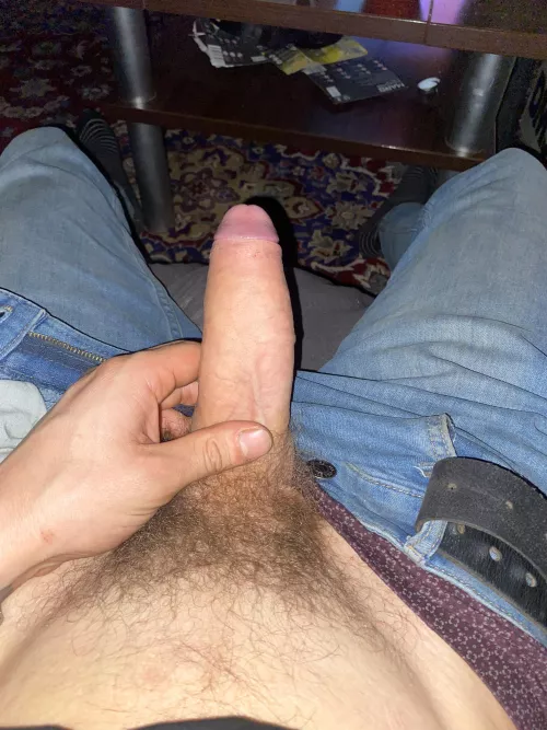Would you suck my hairy dick? by diefrying