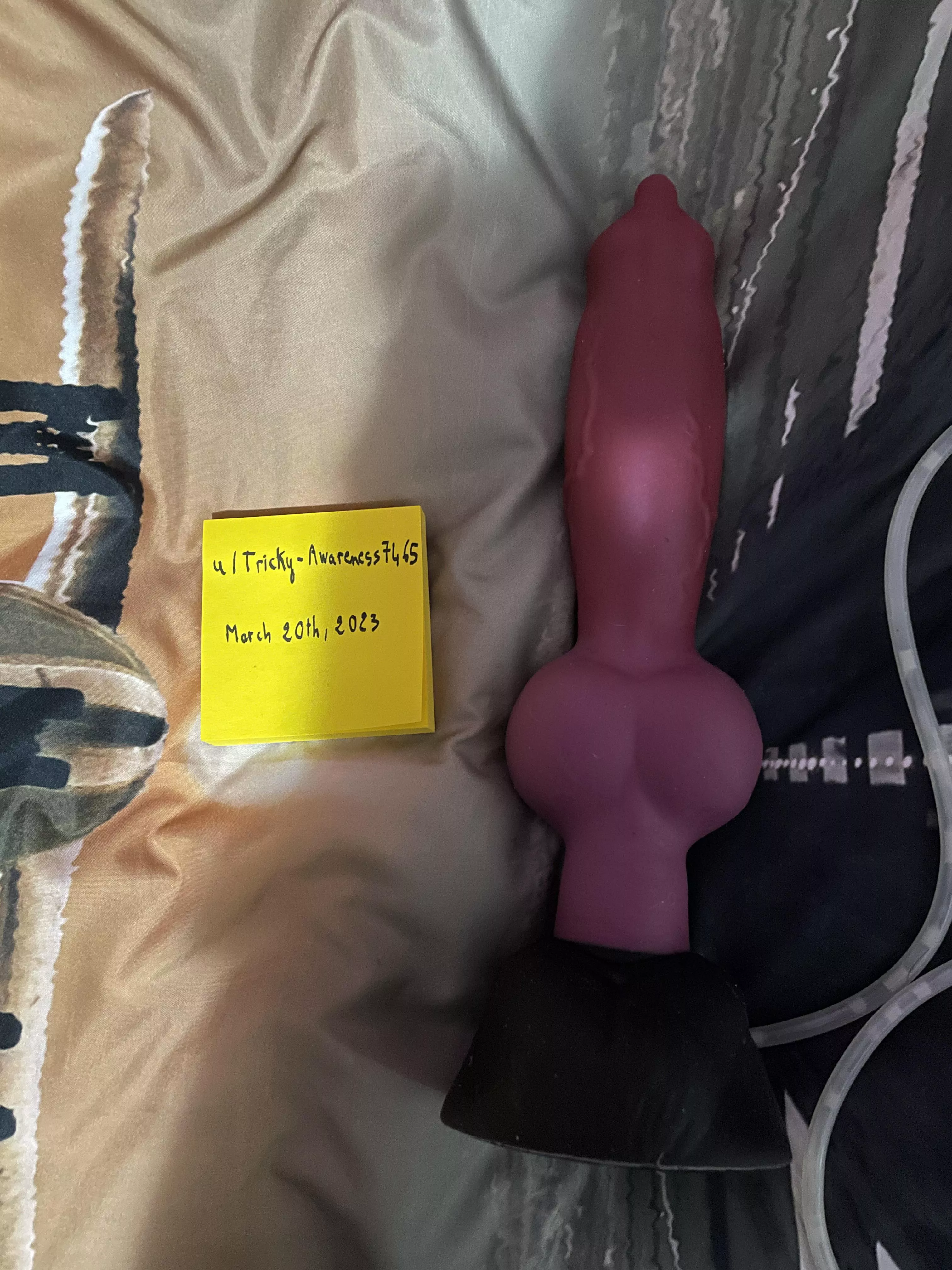 WTS/WTT Rex L/S, Canada Only posted by Tricky-Awareness7465