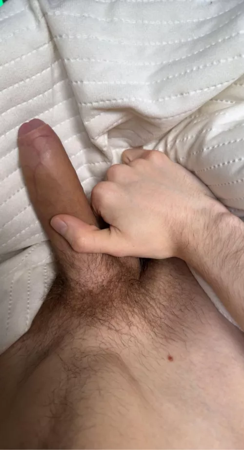 23 gay UK, Guys that are hairy, have foreskin & precum hmu - theproud.llama by Southern_Stranger_53