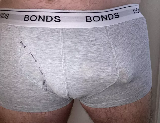 Aussie experienced bull visiting St Louis in early May. Seeking ladies or couples for mutual fun. Can host. Can’t wait! by suedeplaid