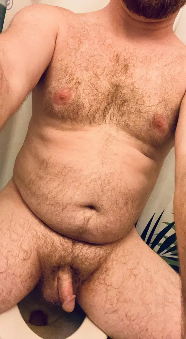 Does anyone find this attractive? posted by BearishBeard
