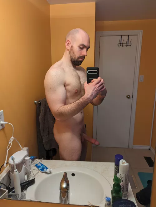 Does this interest any of you? by gatorshark921