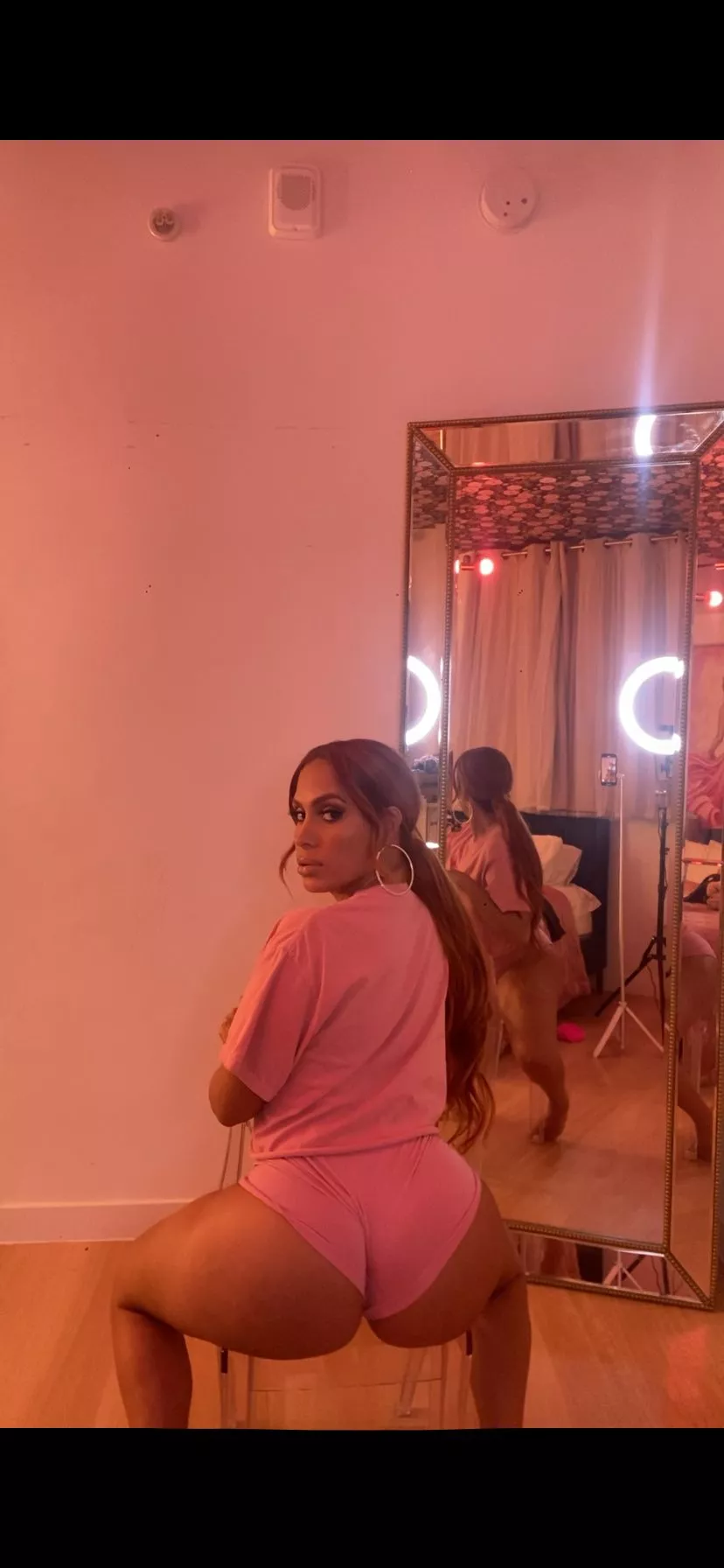 (f) I have a huge butt and a tiny waist posted by Dashingthalia