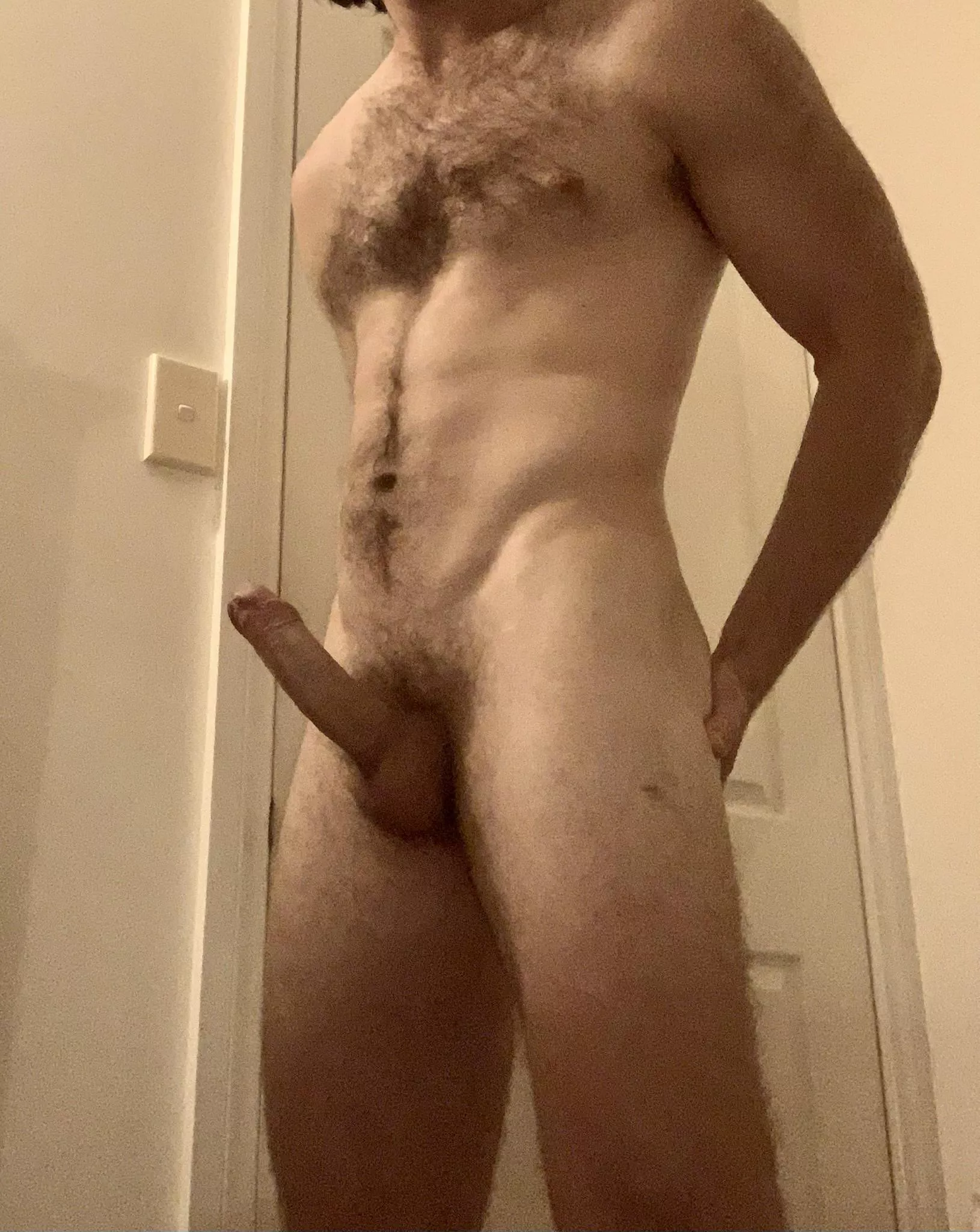 Hairy enough? posted by PerfectIncrease