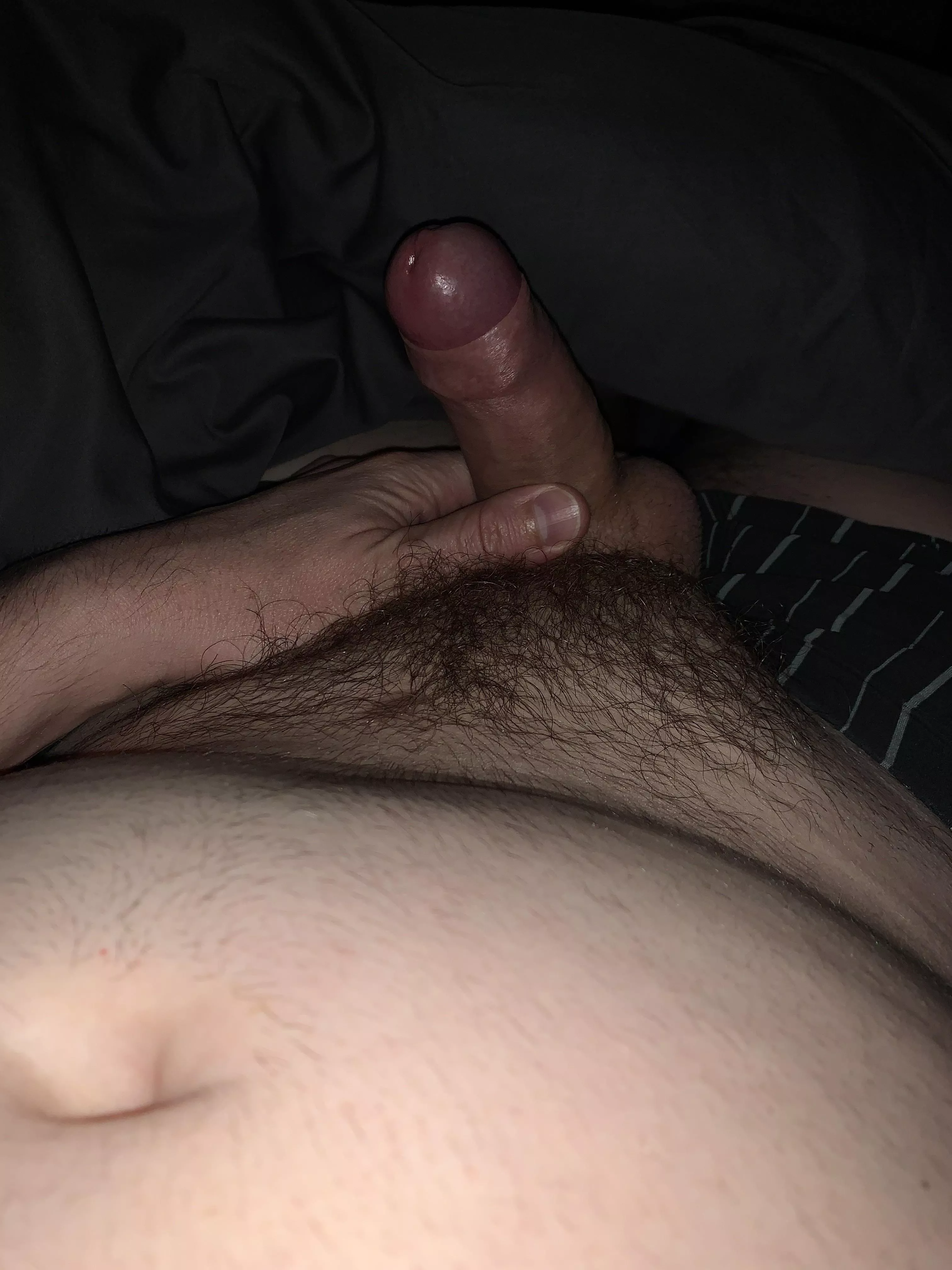 Horny kiwi guy posted by flystu