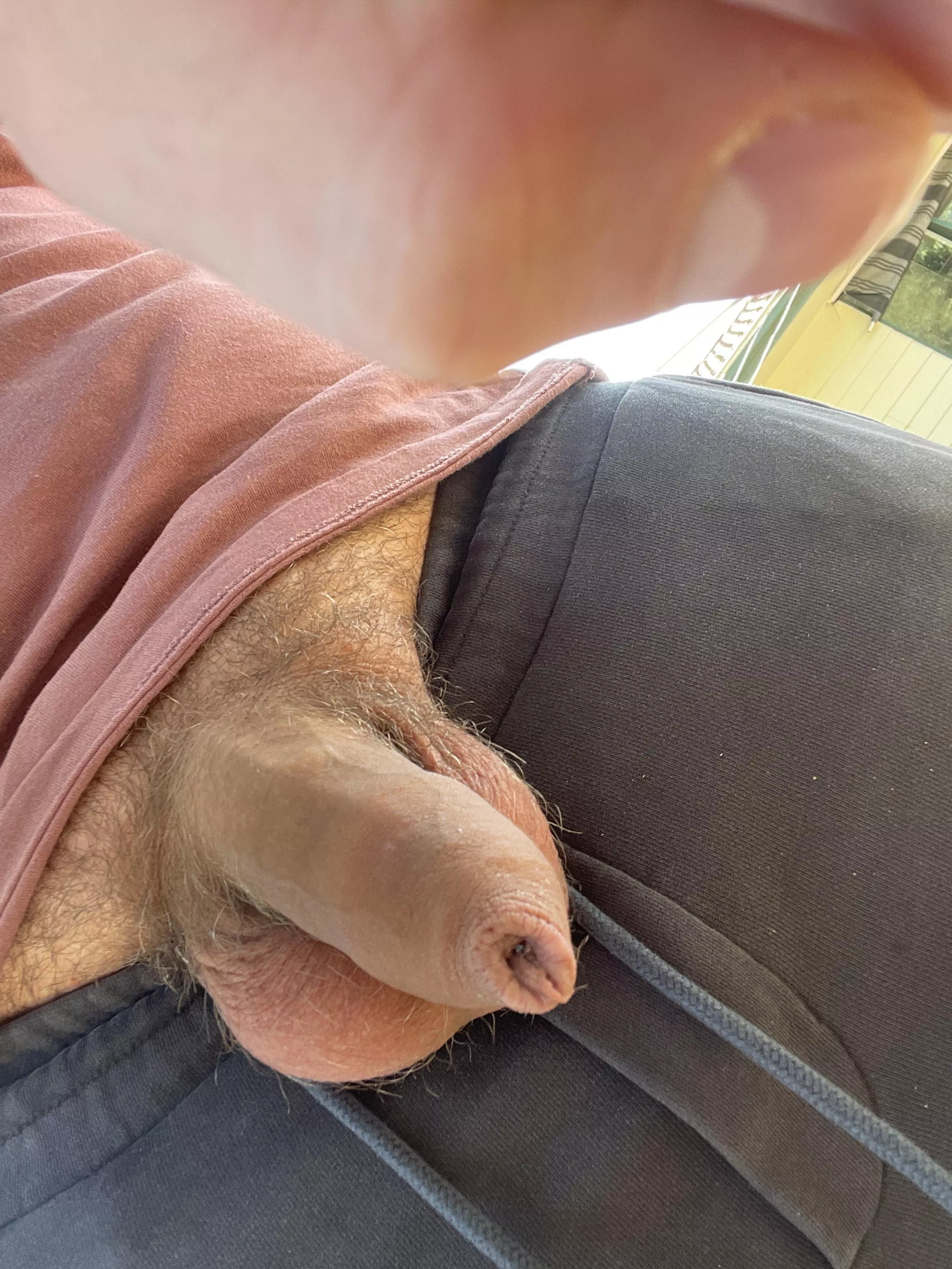 Just outside thought he needed some air posted by Numerous_Stranger479