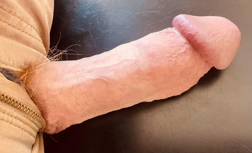 Laying down on the job… by Relevant_Junket6404