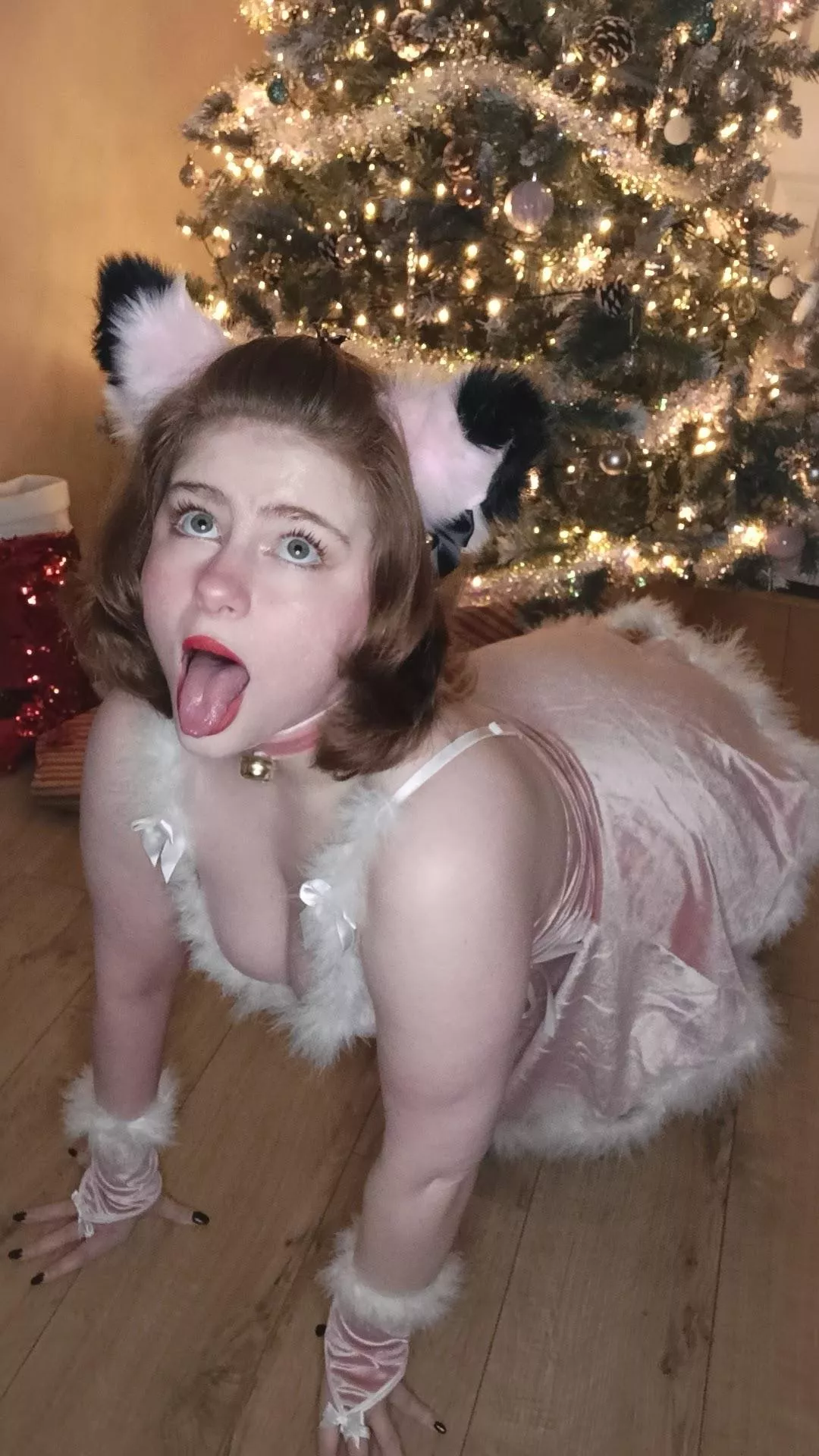 Lil Kitty waiting to be of service posted by LuckyDarla