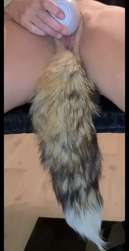 Long tail (f) by bunchbb