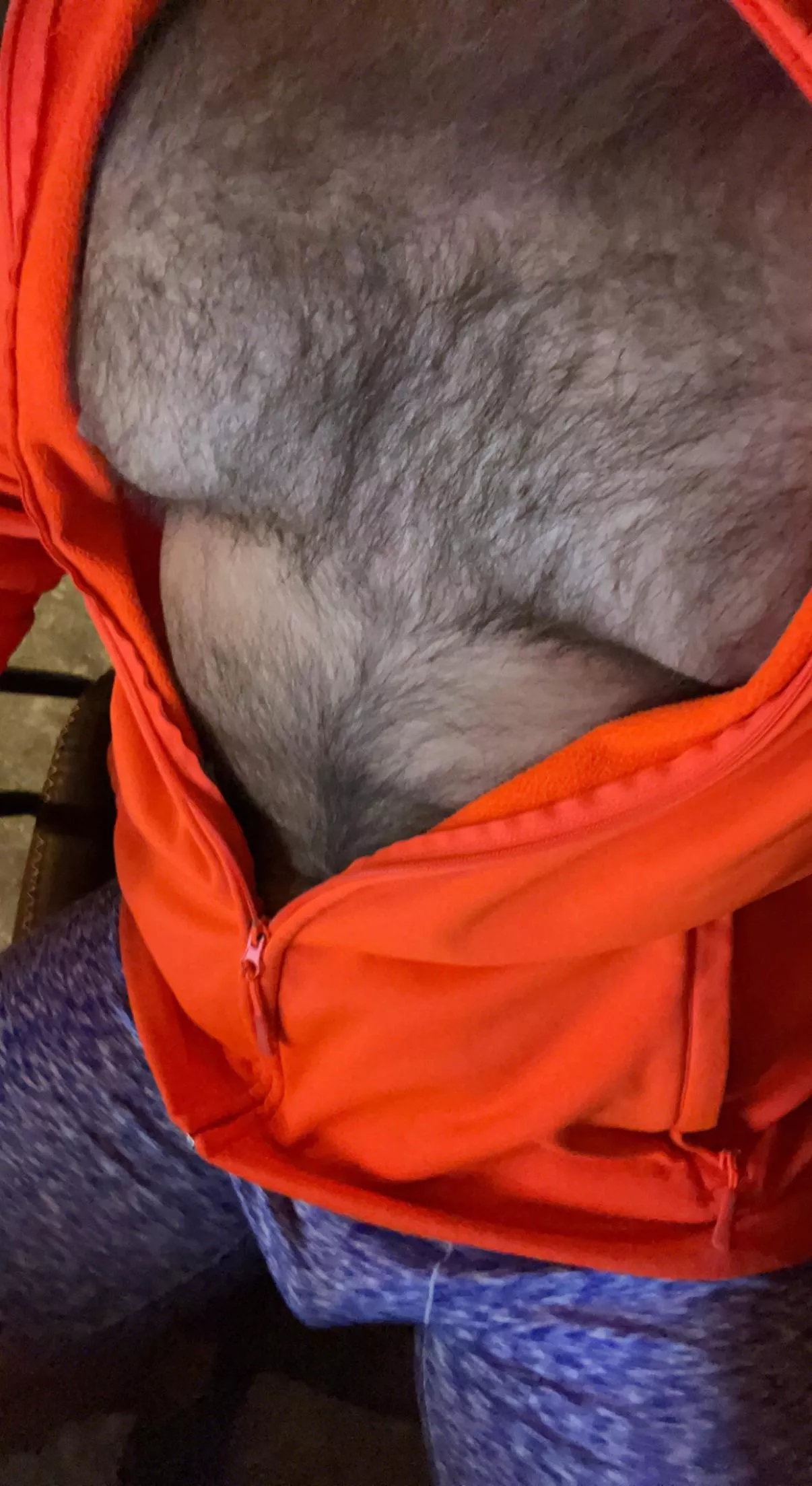 Morning hairy bros! posted by BigBucklilho