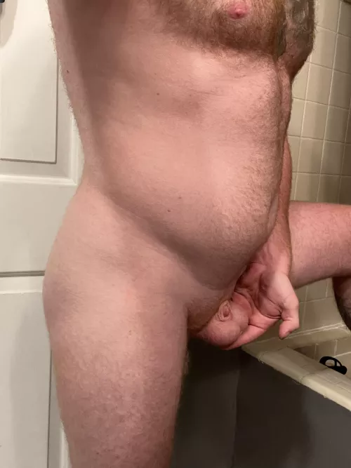 Not all gingers are big 🫣 by Classic-Wallaby8661