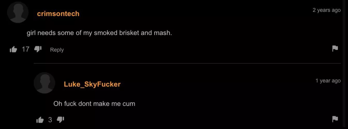 smoked brisket by bl00dthirstykoala