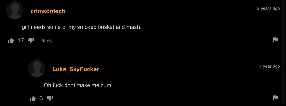 smoked brisket posted by bl00dthirstykoala