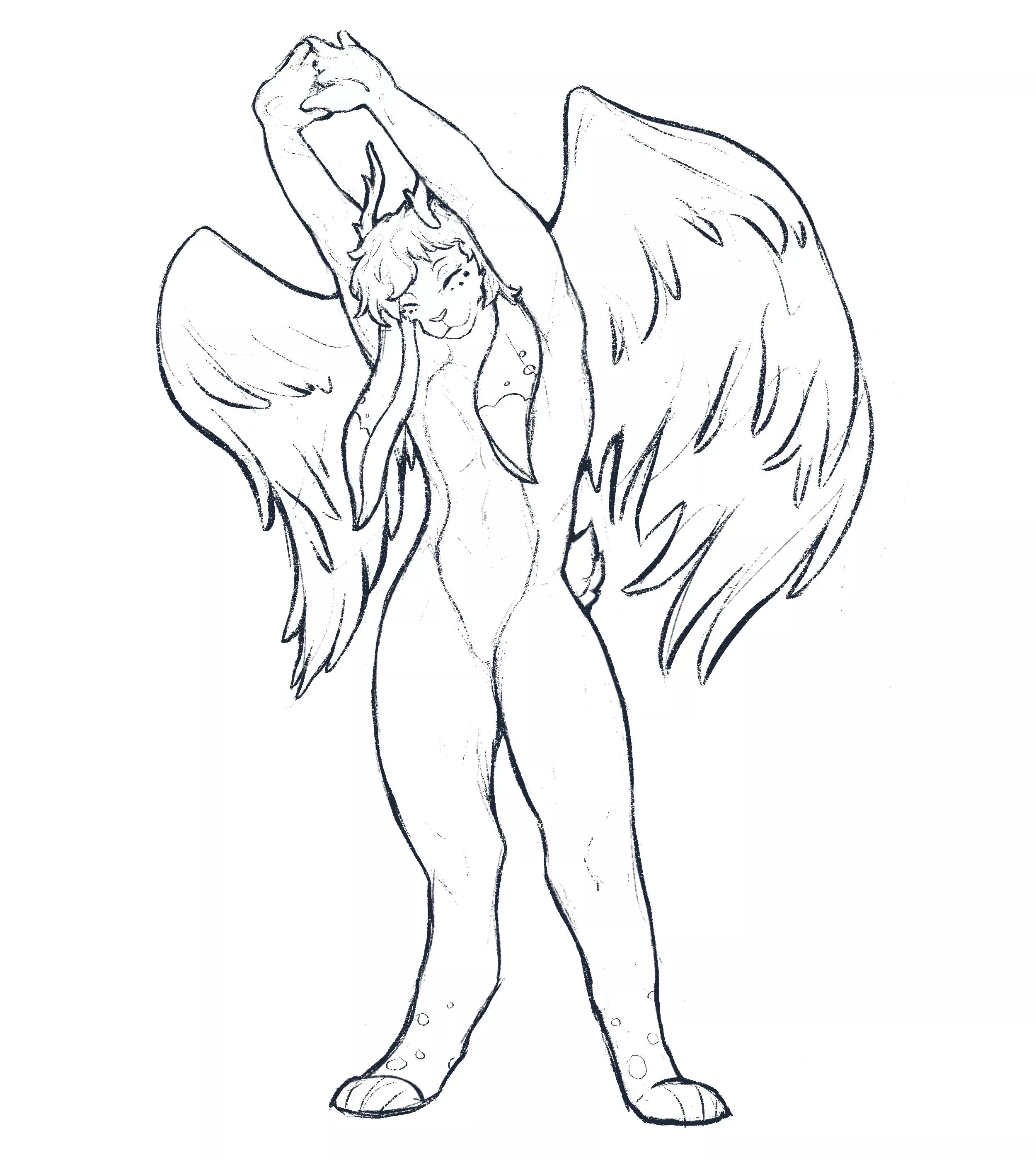 Stretch sketch! posted by Wensleydaleslug