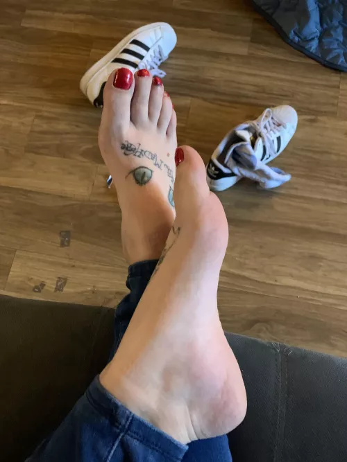 When my sneakers and socks come off, you know its time to suck these toes 😉 by Tattoo_Goddess420