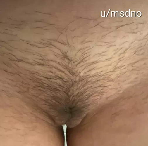 Wife's hairy pussy by msdno