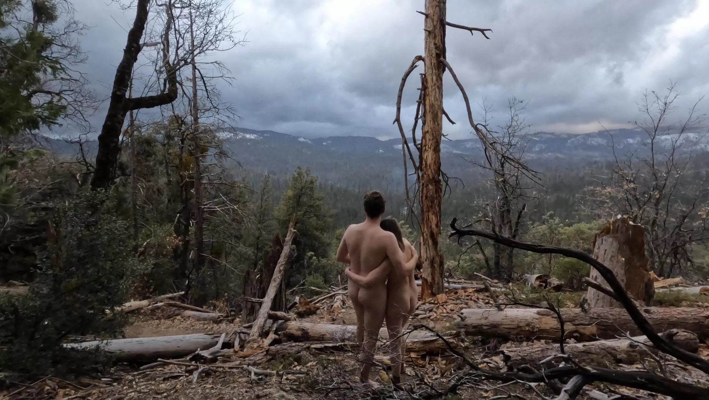 Yosemite Wilderness Area posted by TravelWorld1510