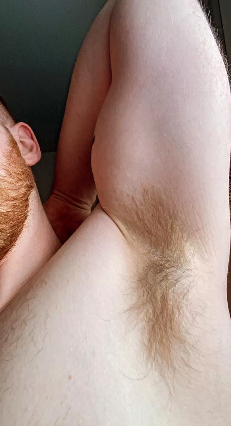 You wanna huff your bro and find out how he smells after he lifts? posted by lanzarino