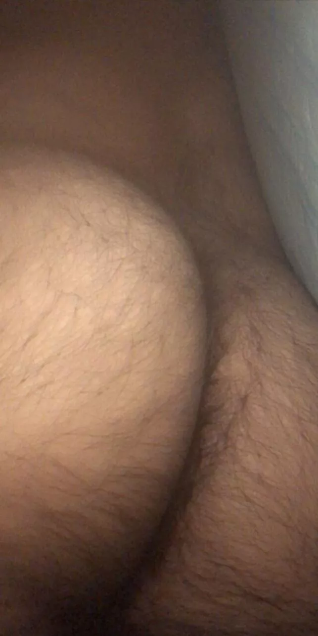 24, very hairy brown bear/cub bottom, snap me x posted by Redcomet_sam_