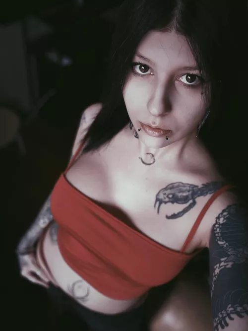 Any recommendations for a new kinda cheap electric guitar for me to start with? (I’m already a musician) by JoanneWinterss