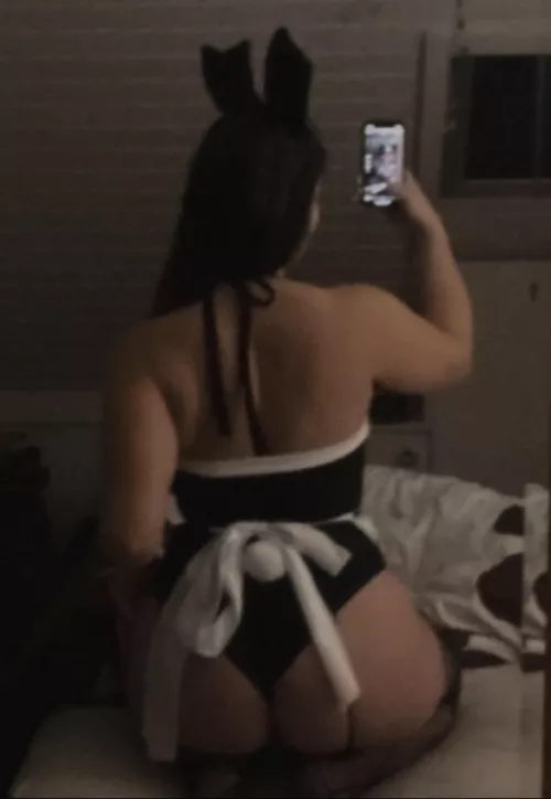 At your service🐰 by Gaellewaut