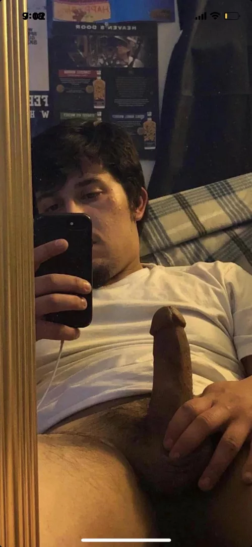 Cum swallow my straight cock by dlstraightguy_