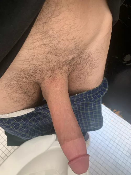 Horse hung by Zealoushung