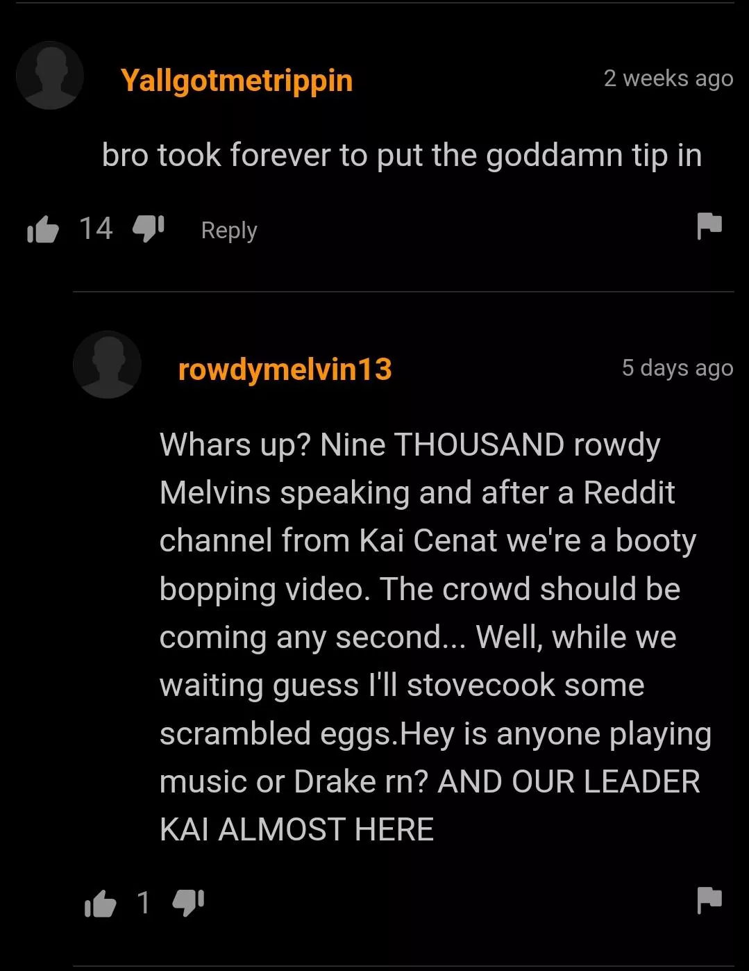 I dont understand but it was funny posted by NecessaryTadpole7460